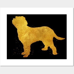 Italian Spinone dog golden art Posters and Art